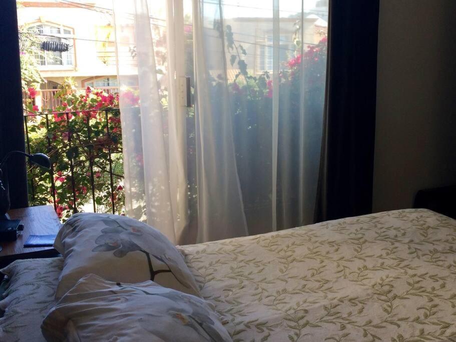 B&B Oui Madame Tijuana Værelse billede