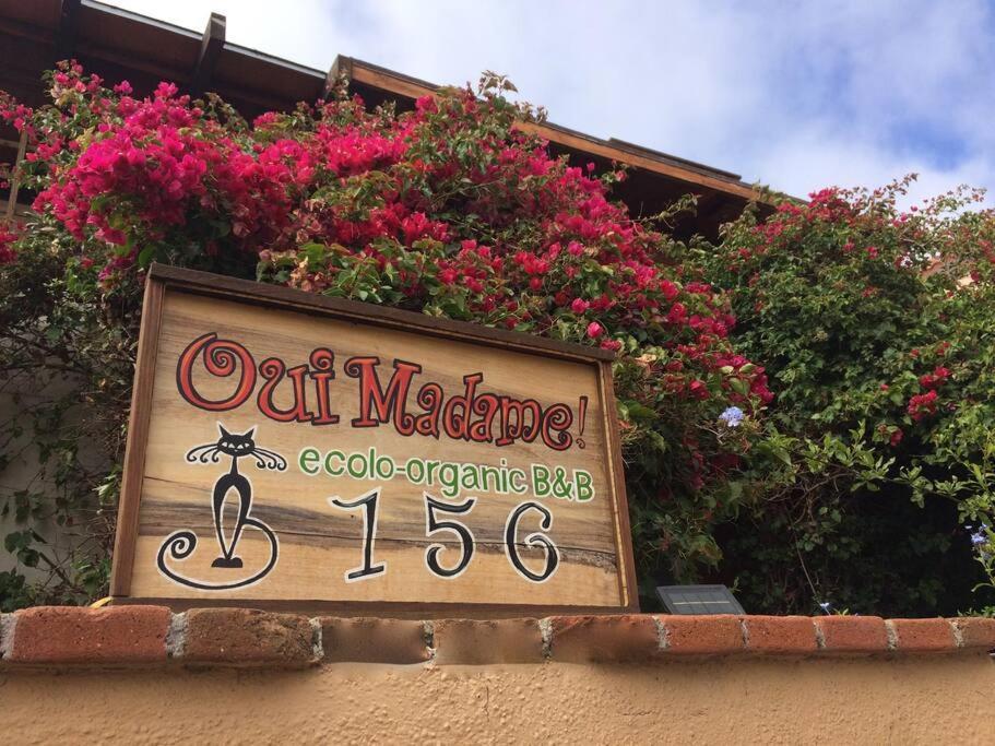 B&B Oui Madame Tijuana Værelse billede